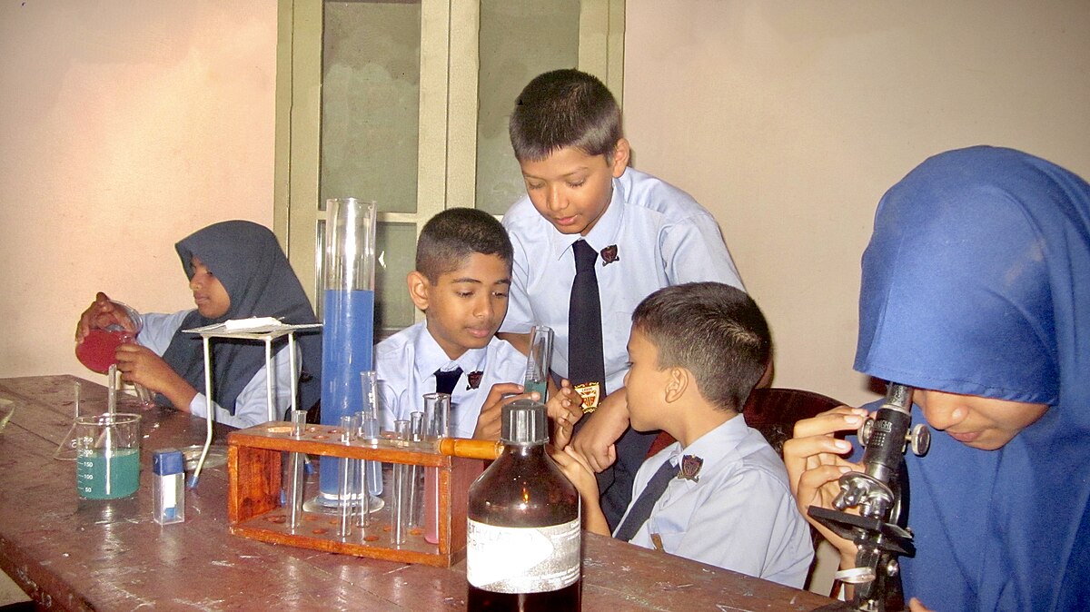 Essential Primary School Science Equipment A Comprehensive List and
