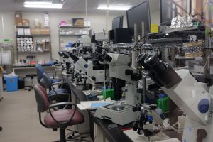 Equipment For Biology Laboratory 
